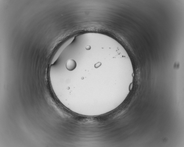 X0000111670589200908281113