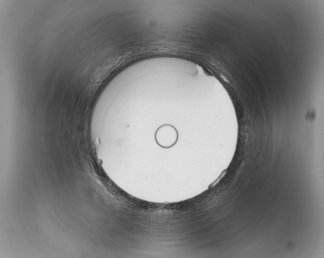 X0000111670593200908281113