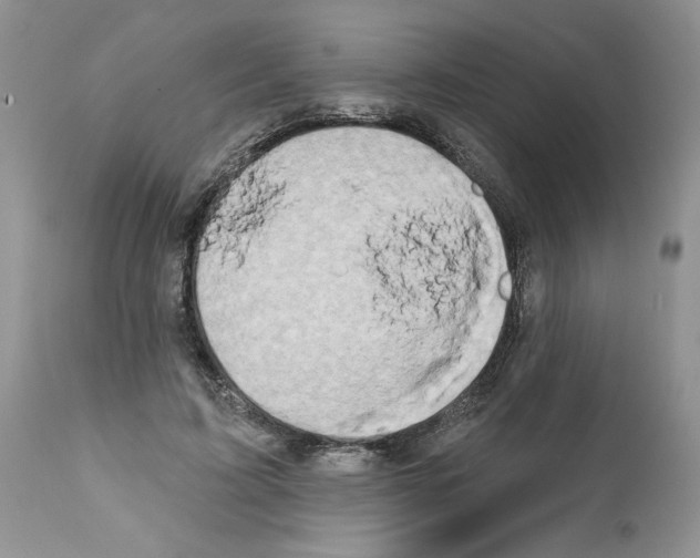 X0000111670595200908281113