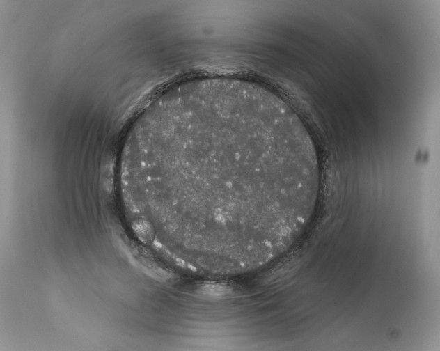 X0000111670596200908281113