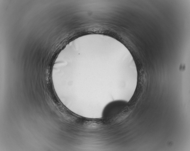 X0000111670597200908281113