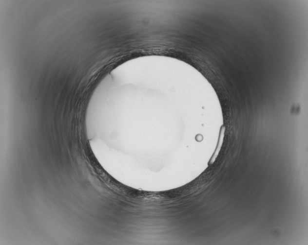 X0000111670599200908281113