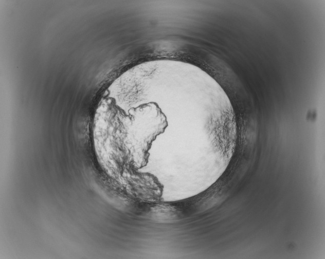 X0000111670603200908281113