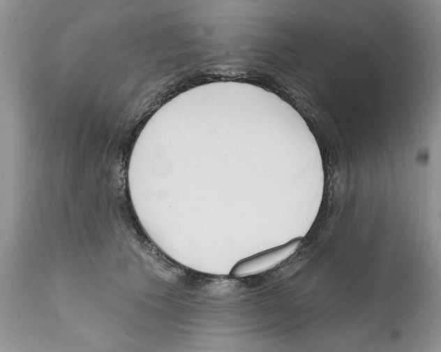 X0000111670609200908281113