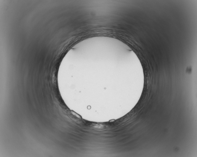 X0000111670611200908281113