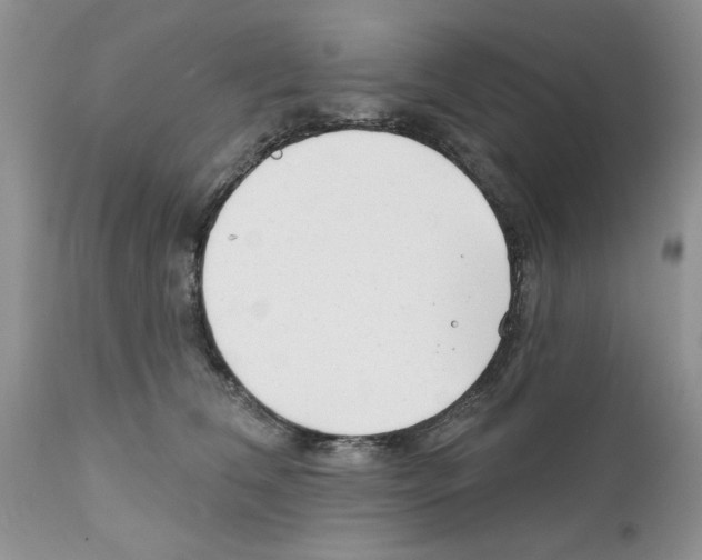 X0000111670612200908281113