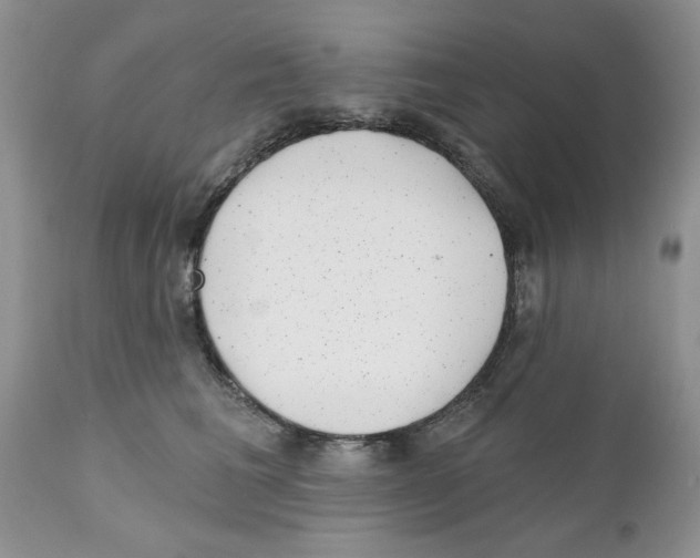 X0000111670613200908281113