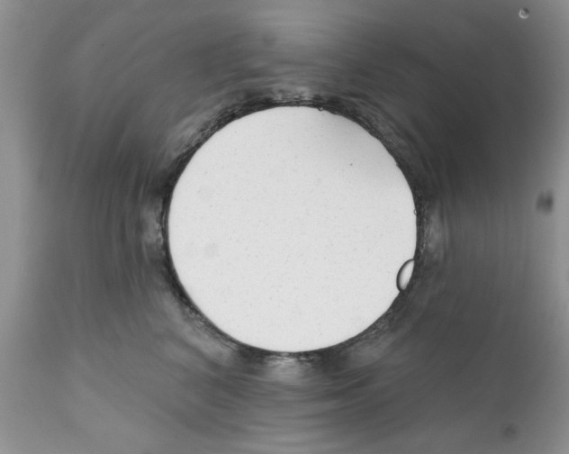 X0000111670616200908281113