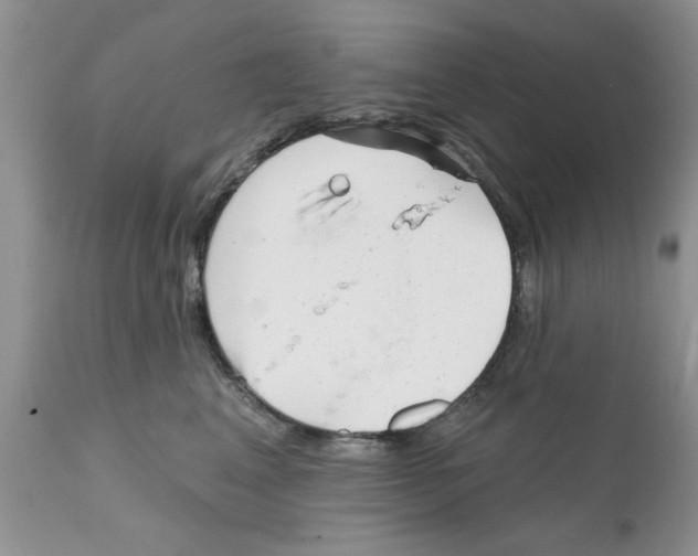 X0000111670617200908281113