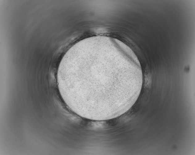 X0000111670618200908281113