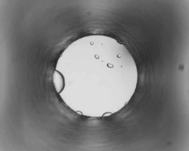 X0000111670620200908281113