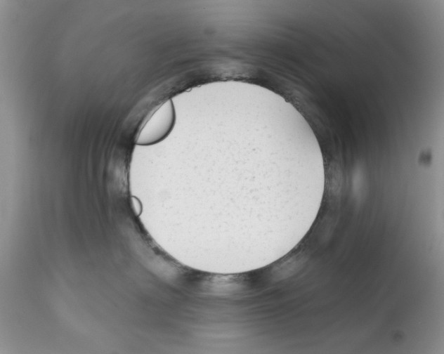 X0000111670622200908281113