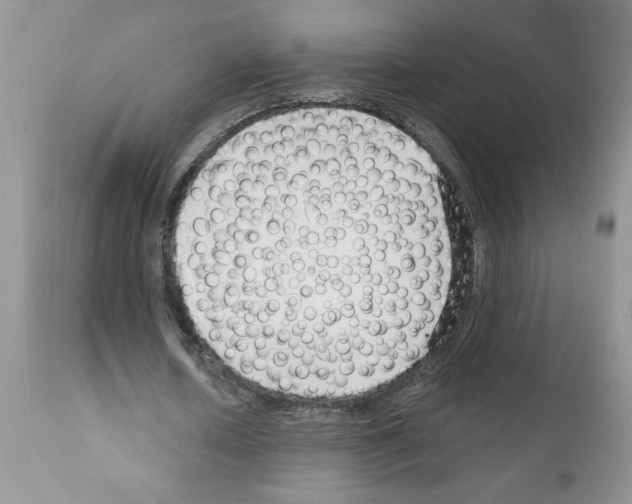 X0000111670626200908281112