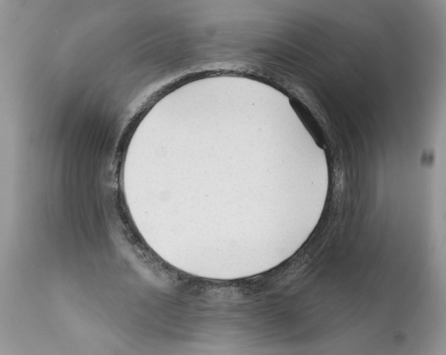 X0000111670628200908281112