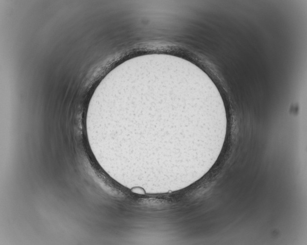 X0000111670633200908281112