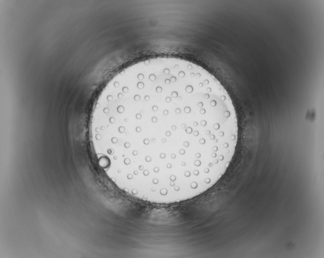 X0000111670635200908281112