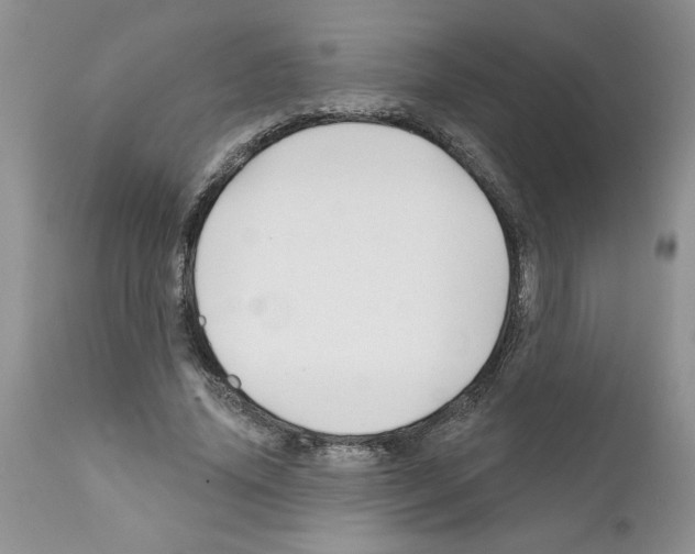 X0000111670636200908281112