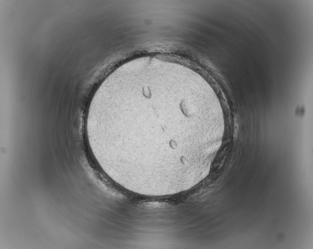 X0000111670637200908281112