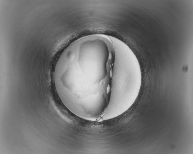 X0000111670638200908281112