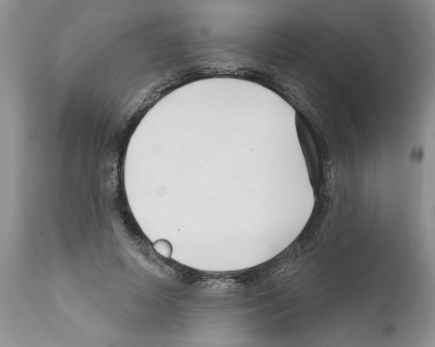 X0000111670642200908281112