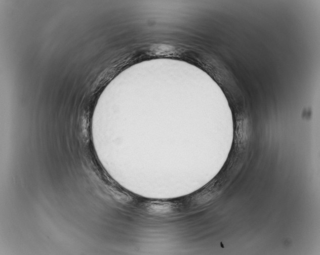 X0000111670653200908281112