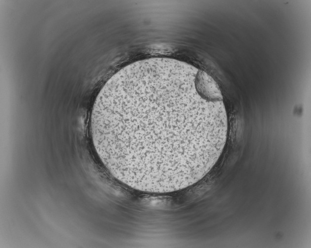 X0000111670655200908281112