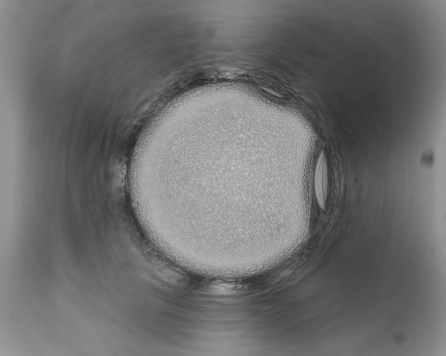 X0000111670657200908281112