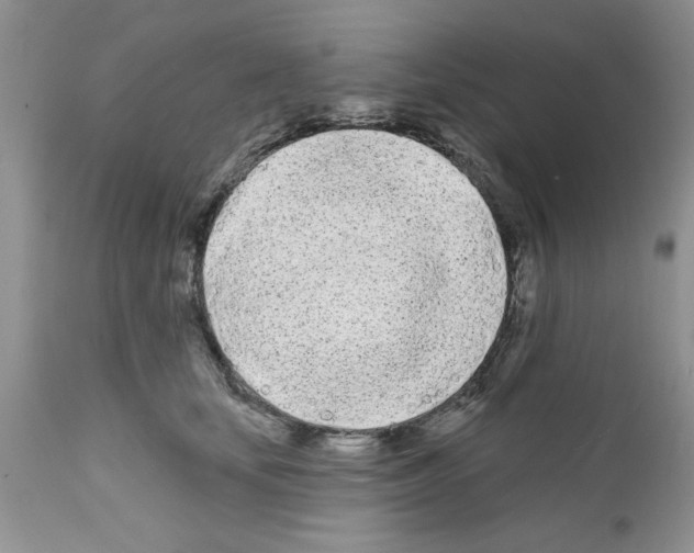 X0000111670659200908281112