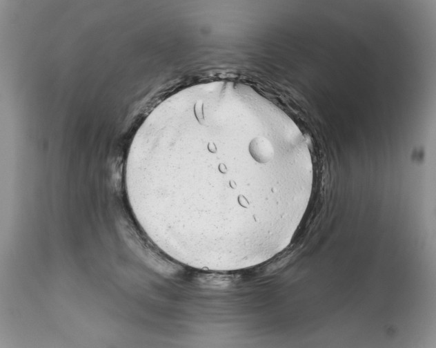 X0000111670661200908281112