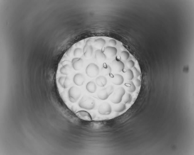 X0000111670662200908281112