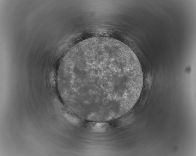 X0000111670663200908281112