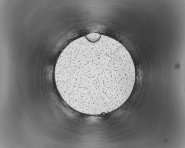 X0000111670664200908281112