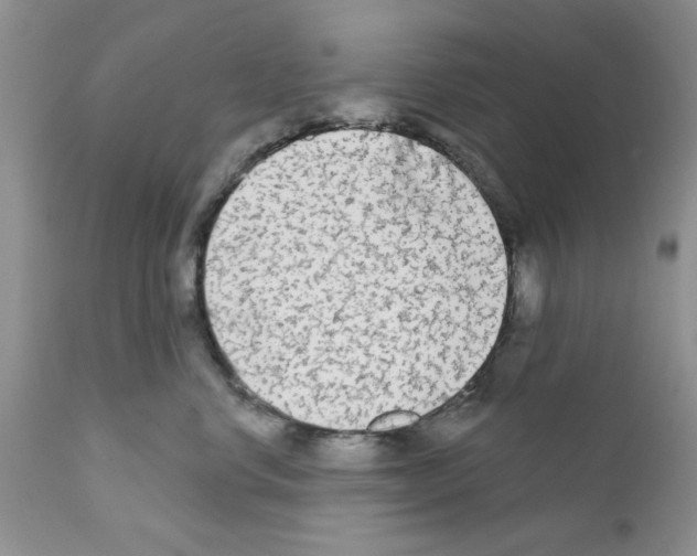 X0000111670668200908281113