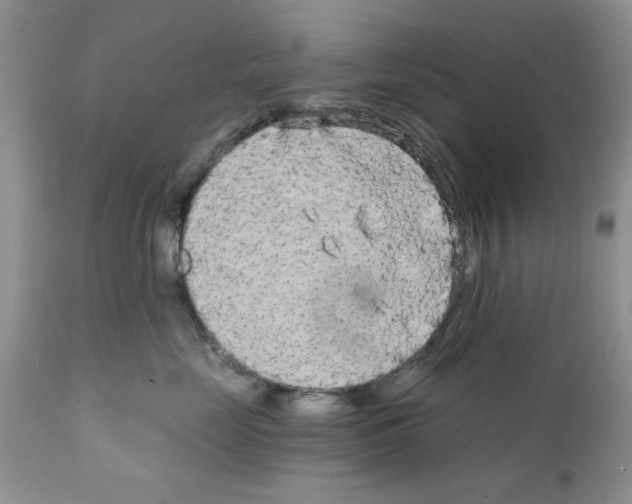 X0000111670669200908281113