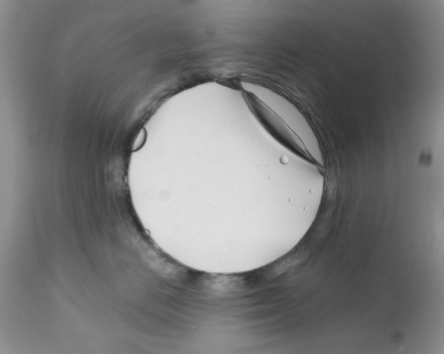 X0000111670670200908281113