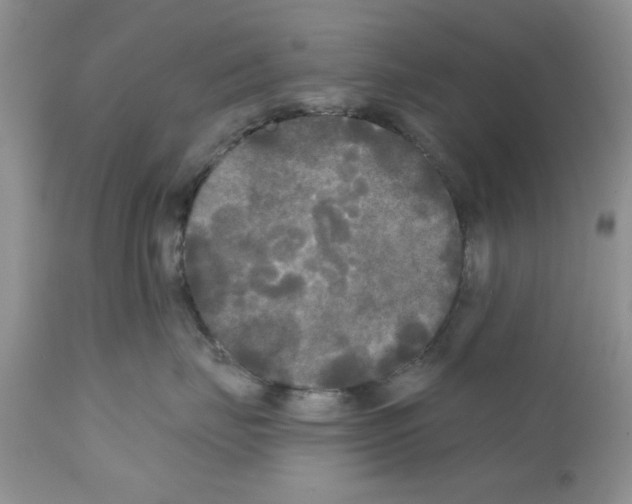 X0000111670671200908281113