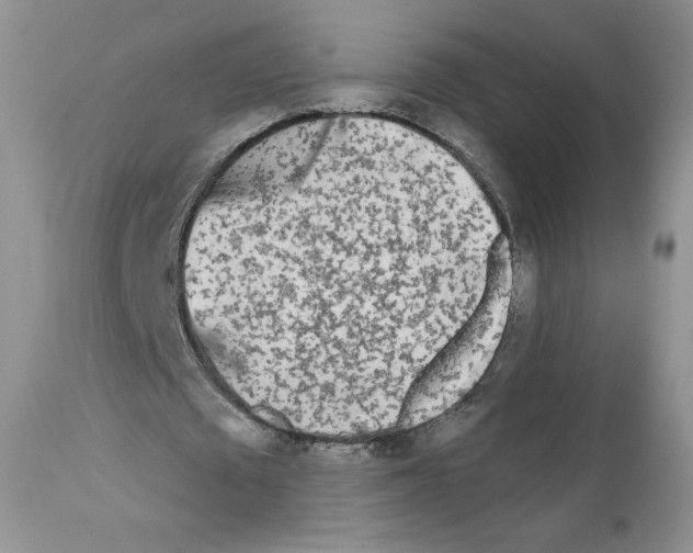 X0000111670673200908281112