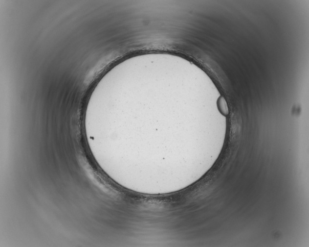 X0000111670677200908281112