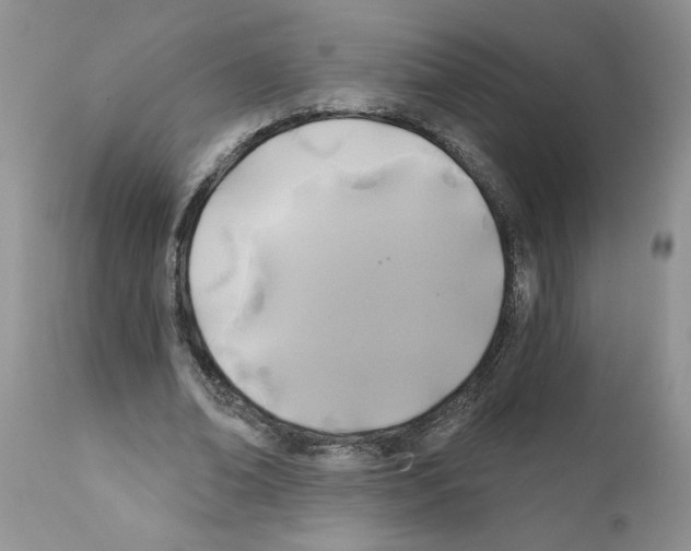 X0000111670678200908281112