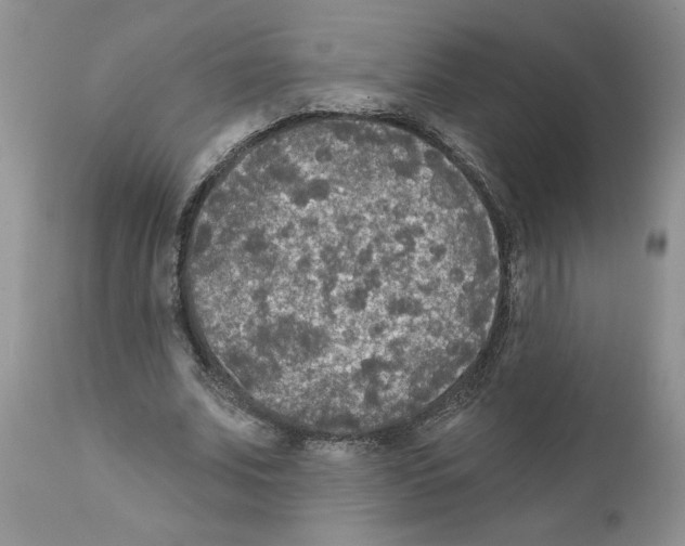 X0000111670679200908281112