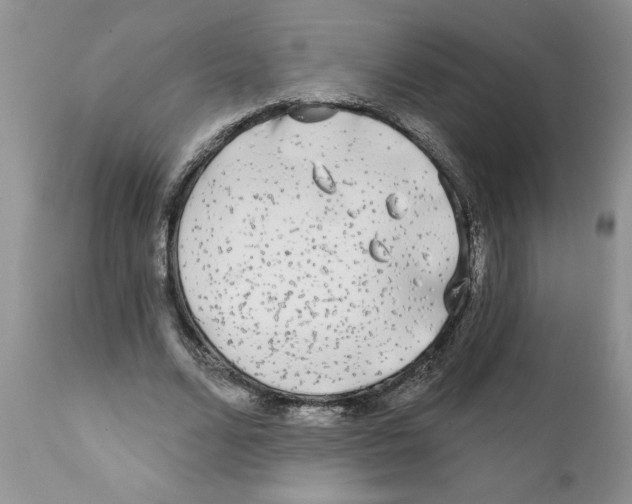 X0000111670680200908281112