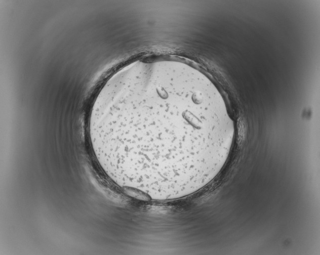 X0000111670684200908281112