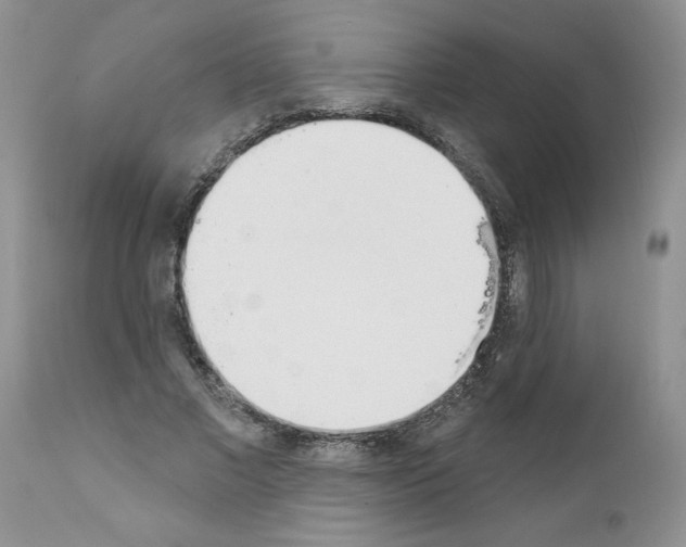 X0000111670685200908281112