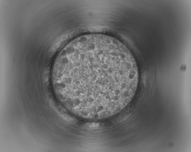 X0000111670687200908281112