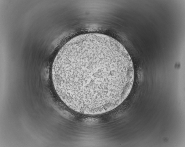 X0000111670691200908281112