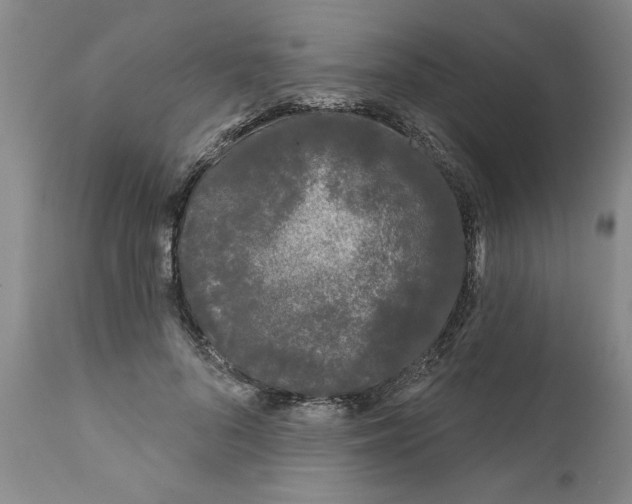 X0000111670696200908281111