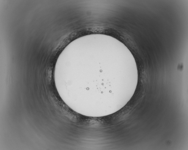 X0000111670697200908281111