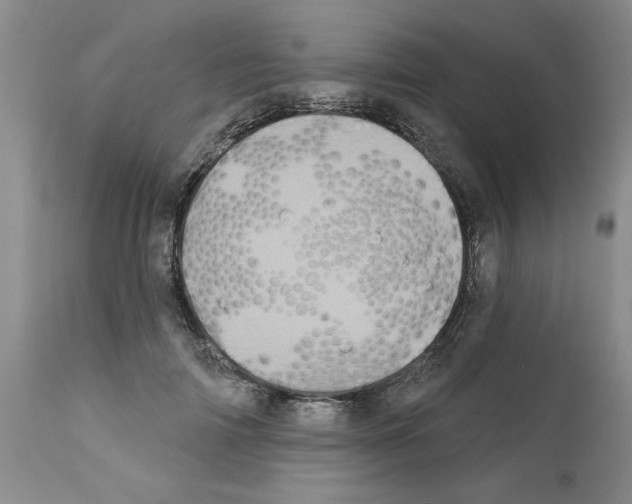 X0000111670698200908281111