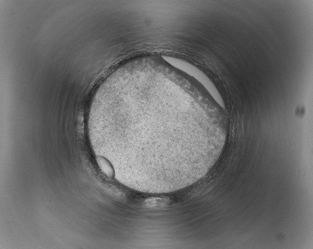 X0000111670700200908281111