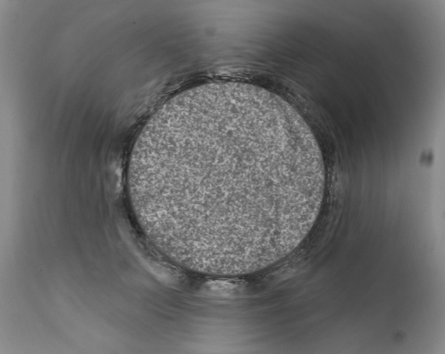 X0000111670703200908281111